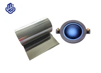 Titaanikalvo puhekalvolle